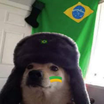 VTLog