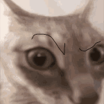VTLog