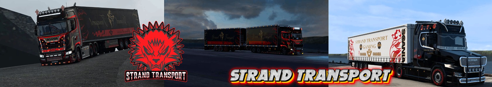 VTC Cover